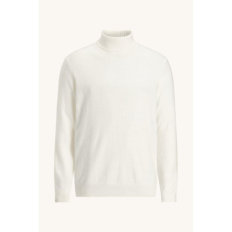 SALOIM ROLLNECK