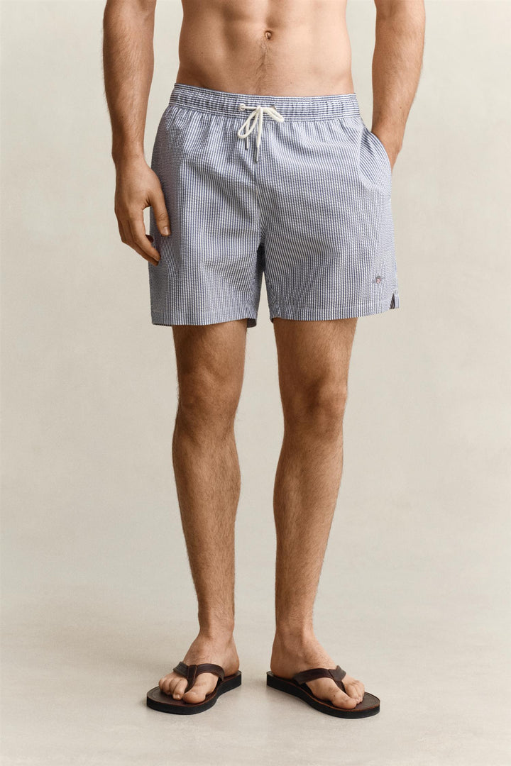 STRIPED SEEKRSUCKER SWIM