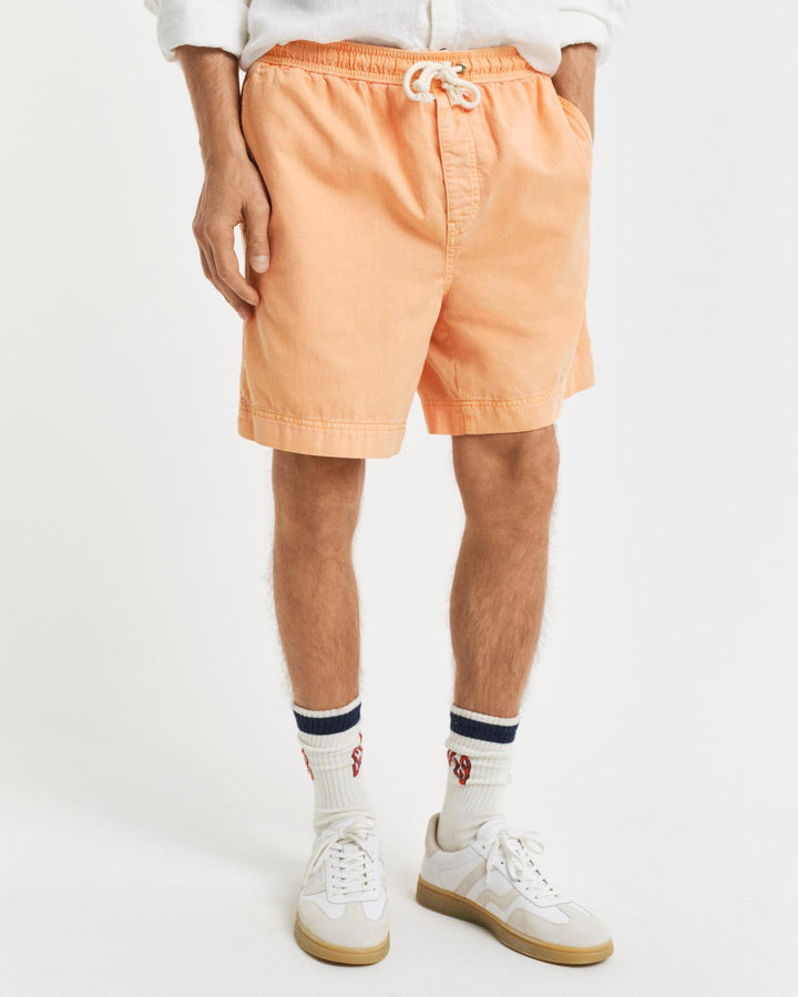 REG SUNFADED DS SHORTS